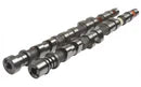 Kelford Cams Mitsubishi Solid Lifter 4G63 EVO 9 MIVEC Camshafts by Autech Store Auckland
