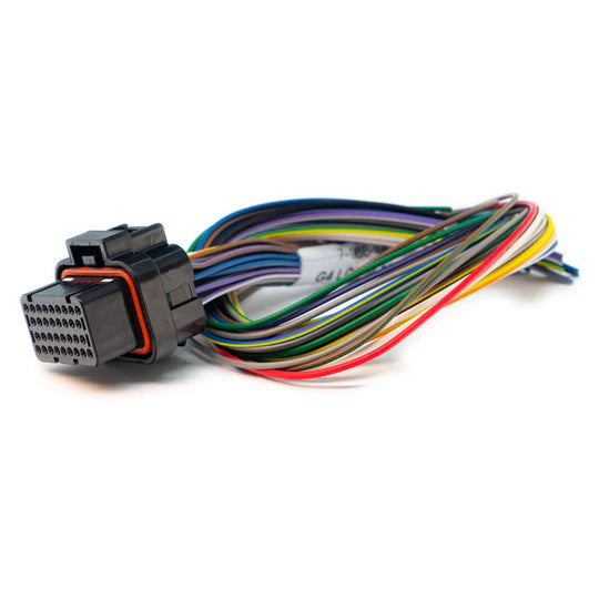 Link B loom short available at Autech Store Auckland reliable ECU wiring loom for clean installation and secure engine management setup
